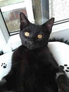 Don't be fooled - he may look cute but he is a complete lunatic