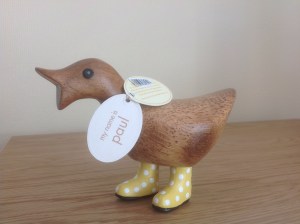 Meet Paul - the Encouragement Duck