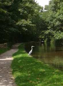 21150784_807647049415445_1183992284_n