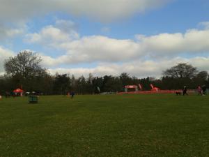 28500259_915935378586611_1230085131_o