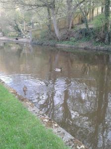 31084170_961602514019897_8109287267215867904_n