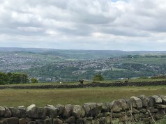 R3NzJfMTTuK8GnIFHbqsnA