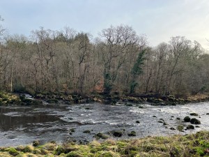 a photo of the River Wharfe at the Bolton Abbey Estate. The river is quite low flowing of a series of stones